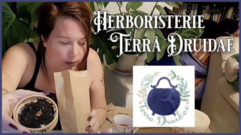 Terra Druidae : magie de l&rsquo;essentiel