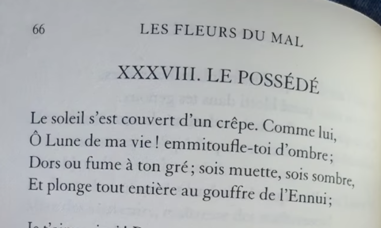 « Le possédé » de Baudelaire