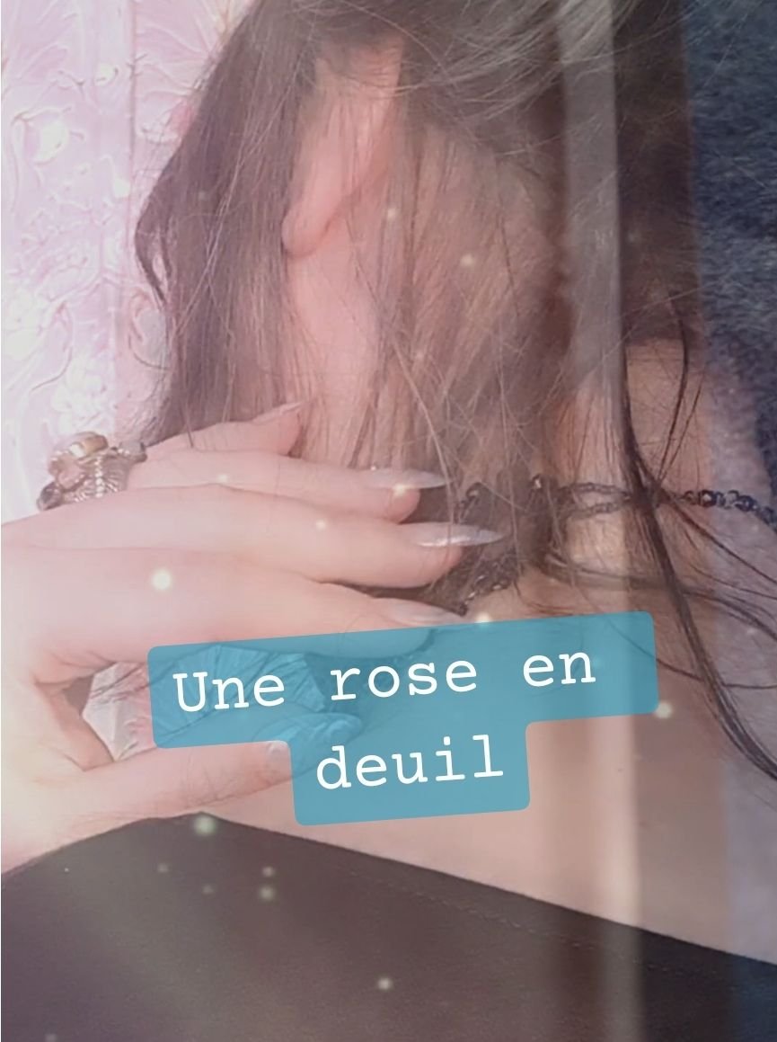 Rose 003