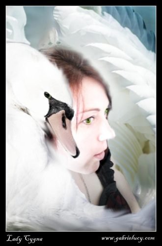 Lady Cygne